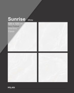 کاشی و سرامیک یزد کف و بدنه